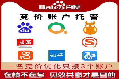 成功运用SEM服务实现品牌推广的案例分析